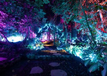 Nuanu Siap Gelar Art & Bali 2025, Art Fair Internasional Memadukan Seni dan Teknologi