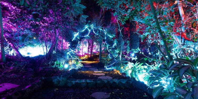 Nuanu Siap Gelar Art & Bali 2025, Art Fair Internasional Memadukan Seni dan Teknologi