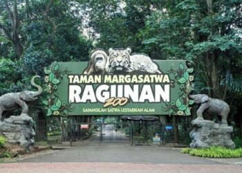 wisata ragunan