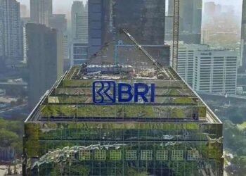 Menurut Corporate Secretary BRI Agustya Hendy Bernadi, keputusan pembagian dividen ini dilakukan dengan mempertimbangkan kondisi keuangan perusahaan yang solid dan struktur modal yang kuat. Dengan kondisi finansial yang kokoh, pembagian dividen saham ini turut menjadi komitmen BRI dalam memberikan nilai tambah kepada para pemegang saham.