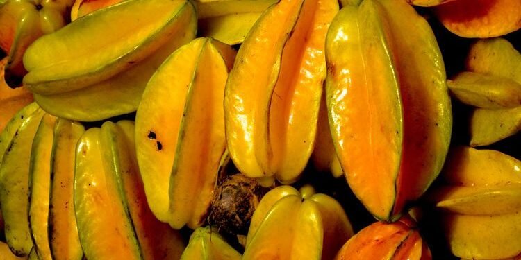 5 Manfaat Buah Belimbing Untuk Kesehatan Tubuh