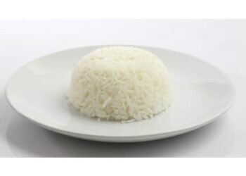 Ilustrasi Nasi Putih