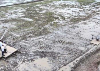 Prabowo Pimpin Penanaman Padi dengan Teknologi Modern