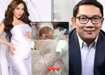 ridwan kamil lisa
