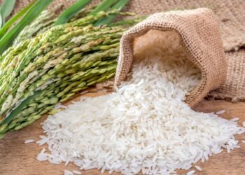 Harga Beras Dunia Turun, Tapi di Indonesia Masih Tinggi: INDEF Minta Pemerintah Lepas Stok