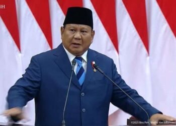 Presiden Prabowo Tegaskan Dukungan Indonesia untuk Kemerdekaan Palestina di Forum PUIC