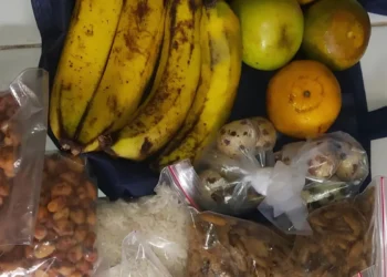 program MBG bahan mentah