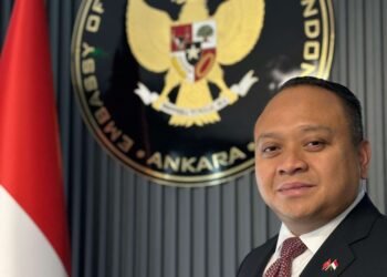 KBRI Ankara Pastikan Tidak Ada WNI Jadi Korban Gempa Marmaris