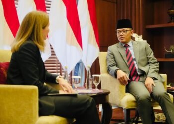 Menlu Sugiono dan Dubes Norwegia Bahas Kerja Sama Lingkungan dan Ekonomi