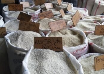 Perpadi Usulkan Penghapusan Kategori Beras Premium dan Medium