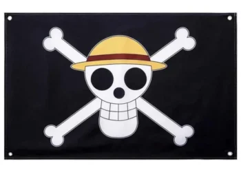 alasan-larangan-bendera-one-piece-ancaman-hukuman