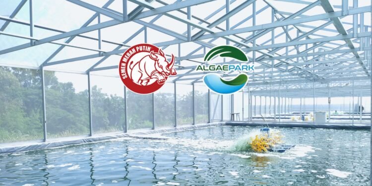 Mikroalga, Si Kecil yang Mengubah Peta Bisnis: Dari Superfood hingga Solusi Industri Hijau