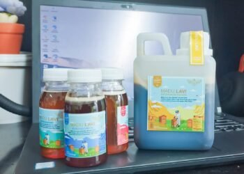 Kapan Waktu Terbaik Minum Madu? Pagi, Sore, atau Malam Hari