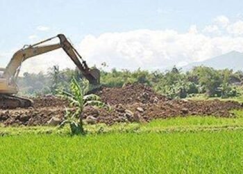 Aceh Siapkan Lahan 300 Ha untuk China, Buat Apa?