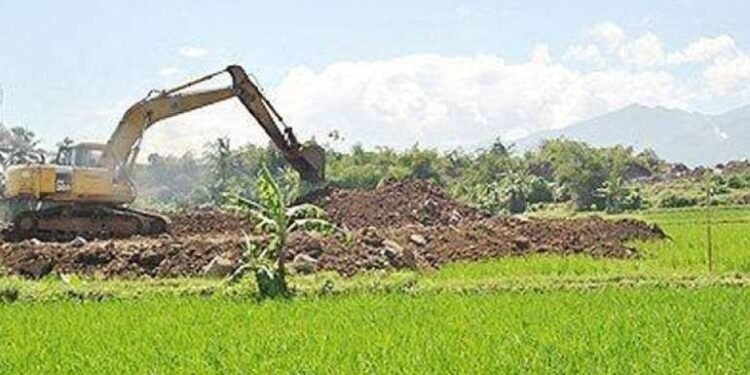 Aceh Siapkan Lahan 300 Ha untuk China, Buat Apa?