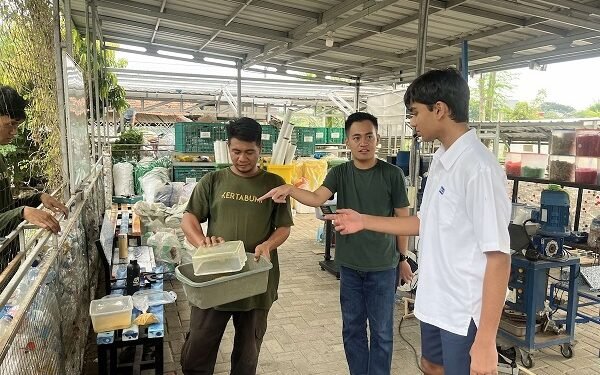 renewfeed-ubah-sampah-makanan-jadi-pakan-unggas