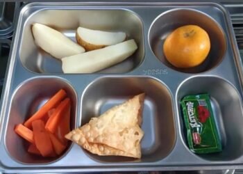 Viral Menu MBG SD di Depok Hanya Pangsit dan Kentang, Ini Kata Kepsek