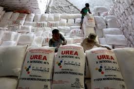 Menurut Menteri Pertanian (Mentan) Andi Amran Sulaiman, kebijakan ini merupakan arahan langsung Presiden Prabowo untuk memperkuat ketahanan pangan nasional. Penurunan harga pupuk menjadi tonggak penting dalam perjalanan sektor pertanian Indonesia.