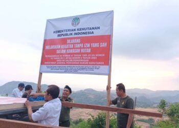 Kementerian Kehutanan Segel Tambang Ilegal di Mandalika, Pastikan Penegakan Hukum Tegas