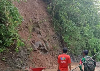 Longsor Cilacap Telan Korban, Puluhan Warga Hilang dalam Pencarian