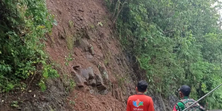 Longsor Cilacap Telan Korban, Puluhan Warga Hilang dalam Pencarian