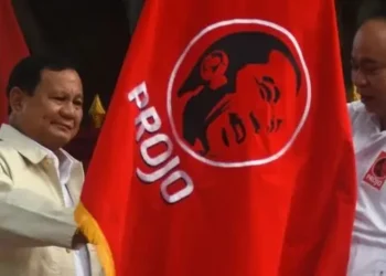 Projo Dukung Pemerintahan Prabowo-Gibran, Logo Siluet Jokowi Akan Diganti