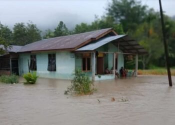 BNPB: Korban Tewas Bencana Alam di Sumatra Capai 1.016 Jiwa