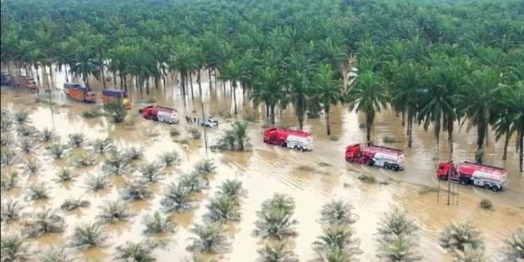 Biaya Pemulihan Banjir Bandang Sumatra Capai Rp51,82 Triliun