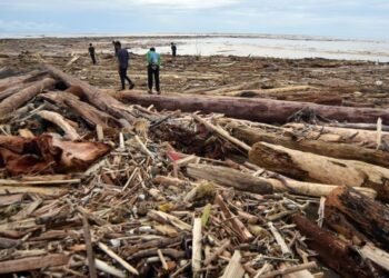 Banjir Seret Kayu Gelondongan di Sumatera, Ini Kata Kemenhut