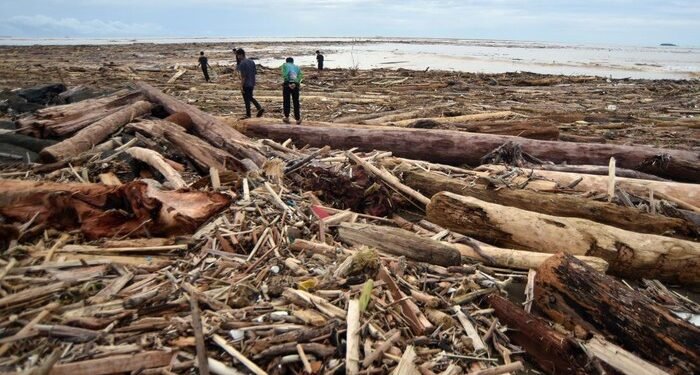 Banjir Seret Kayu Gelondongan di Sumatera, Ini Kata Kemenhut