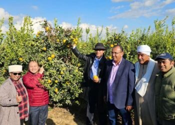 Ekspor Indonesia ke Mesir Tembus USD1,59 Miliar pada Januari–Oktober 2025