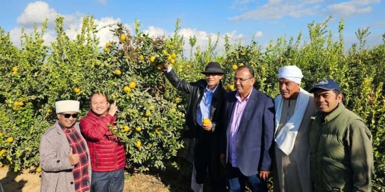 Ekspor Indonesia ke Mesir Tembus USD1,59 Miliar pada Januari–Oktober 2025