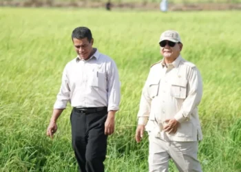 Prabowo Targetkan 1 Juta Hektare Lahan Pertanian Baru di Papua Selatan