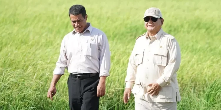 Prabowo Targetkan 1 Juta Hektare Lahan Pertanian Baru di Papua Selatan