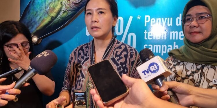 Wamen PPPA Dorong SPPG Jadi Dapur Darurat di Aceh Tamiang