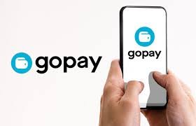 Program Jaminan Saldo Kembali, secara umum berlaku bagi pengguna yang telah melakukan 3 ketentuan, yaitu sebagai berikut. Pertama, melakukan verifikasi atau upgrade akun ke GoPay Plus sebelum kejadian. Kedua, mengaktifkan PIN sebagai autentikasi transaksi. Ketiga, tidak membagikan PIN maupun kode OTP kepada pihak lain