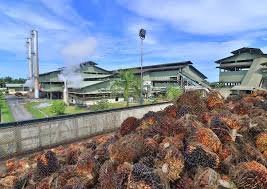 Namun demikian menurut Tingning kembali, pihaknya belum menerima nota denda administratif lebih lanjut. Pembayaran denda tersebut juga tidak berdampak terhadap kelangsungan usaha perusahaan.