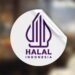 Menurut Hakam kembali, CSED menilai kesepakatan ART kurang mempertimbangkan posisi industri halal dan ekonomi syariah Indonesia yang saat ini masih berada pada tahap awal pengembangan (infant industry). Padahal, Indonesia menargetkan diri sebagai pusat ekonomi syariah global pada 2029.