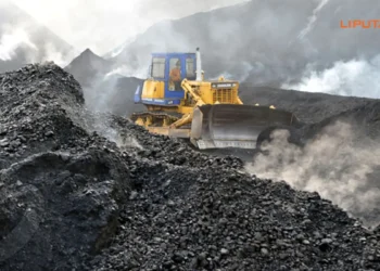 Sementara itu, untuk komoditas batubara, pemerintah memilih bersikap lebih hati-hati. Hal ini karena karakteristik batu bara Indonesia sangat beragam dari sisi kalori. Batubara dengan kalori tinggi hanya sekitar 10% dari total produksi, dengan harga berkisar US$ 140–145 per ton. Adapun mayoritas produksi nasional justru berasal dari batubara kalori rendah, seperti jenis 4.100 hingga 3.400 kalori yang mencapai 60%–70%. Beragamnya sisi kalori tersebut sangat berpengaruh pada harga jual di pasar global