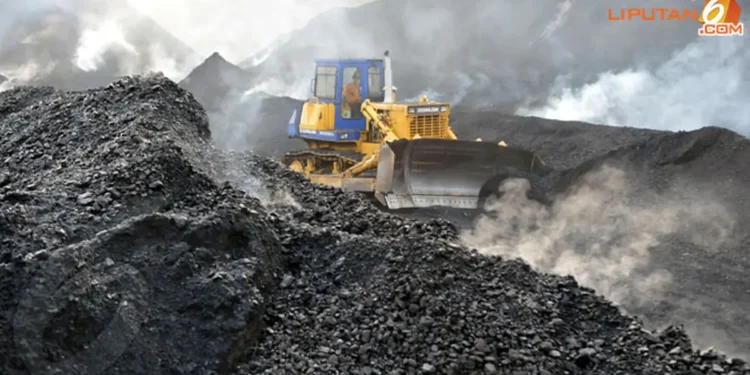 Sementara itu, untuk komoditas batubara, pemerintah memilih bersikap lebih hati-hati. Hal ini karena karakteristik batu bara Indonesia sangat beragam dari sisi kalori. Batubara dengan kalori tinggi hanya sekitar 10% dari total produksi, dengan harga berkisar US$ 140–145 per ton. Adapun mayoritas produksi nasional justru berasal dari batubara kalori rendah, seperti jenis 4.100 hingga 3.400 kalori yang mencapai 60%–70%. Beragamnya sisi kalori tersebut sangat berpengaruh pada harga jual di pasar global