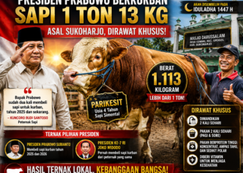 Prabowo Berkurban Sapi 1 Ton Asal Sukoharjo, Dirawat Khusus dan Diberi Nama Parikesit
