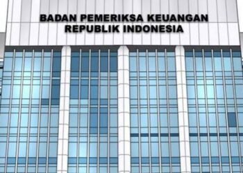 Menurut BPK, kondisi yang terjadi Direktorat Jenderal Bea dan Cukai (DJBC) tersebut, terjadi karena sumber piutang berasal dari dokumen penundaan pembayaran, seperti surat permohonan rush handling dan Pemberitahuan Impor Barang Khusus (PIBK) perusahaan jasa titipan. Jenis utang tersebut tidak termasuk kategori utang yang dapat diperhitungkan saat proses pengembalian penerimaan negara.