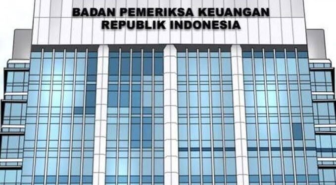 Menurut BPK, kondisi yang terjadi Direktorat Jenderal Bea dan Cukai (DJBC) tersebut, terjadi karena sumber piutang berasal dari dokumen penundaan pembayaran, seperti surat permohonan rush handling dan Pemberitahuan Impor Barang Khusus (PIBK) perusahaan jasa titipan. Jenis utang tersebut tidak termasuk kategori utang yang dapat diperhitungkan saat proses pengembalian penerimaan negara.