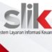 Menurut Henri kembali, pemanfaatan data SLIK pada dasarnya bergantung pada kebijakan dan selera risiko (risk appetite) masing-masing bank maupun analis kredit. Ada analis yang sangat ketat dalam menilai riwayat kredit, termasuk terhadap keterlambatan pembayaran yang sifatnya ringan atau hanya terjadi satu kali.