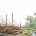 bank-hentikan-pembiayaan-perusak-hutan
