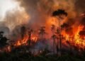 Menurut Berton, jumlah hotspot di Kalimantan Tengah juga mengalami penambahan menjadi 5.391 titik. Namun, titik api di wilayah itu berkurang menjadi 65 titik. Sedangkan di Kalimantan Selatan, jumlah hotspot turun 279 titik menjadi 1.077 titik. Jumlah titik api juga turun menjadi hanya tinggal 52 titik