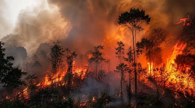 Menurut Berton, jumlah hotspot di Kalimantan Tengah juga mengalami penambahan menjadi 5.391 titik. Namun, titik api di wilayah itu berkurang menjadi 65 titik. Sedangkan di Kalimantan Selatan, jumlah hotspot turun 279 titik menjadi 1.077 titik. Jumlah titik api juga turun menjadi hanya tinggal 52 titik