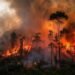 Menurut Berton, jumlah hotspot di Kalimantan Tengah juga mengalami penambahan menjadi 5.391 titik. Namun, titik api di wilayah itu berkurang menjadi 65 titik. Sedangkan di Kalimantan Selatan, jumlah hotspot turun 279 titik menjadi 1.077 titik. Jumlah titik api juga turun menjadi hanya tinggal 52 titik