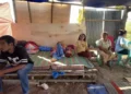 Korban Gempa NTT Tak Perlu Bayar Penggantian Dokumen Kependudukan
