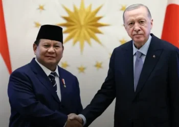Prabowo dan Erdogan Bahas Hubungan Bilateral hingga COP31